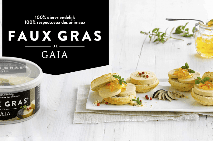 Gaia Faux gras classic Review