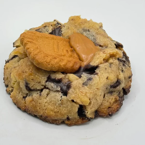 CUVO - Cookie Lotus